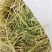 苜蓿草大捆进口苜蓿草安德森进口苜蓿草需要的联系