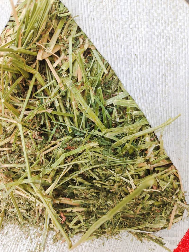 苜蓿草大捆进口苜蓿草安德森进口苜蓿草需要的联系