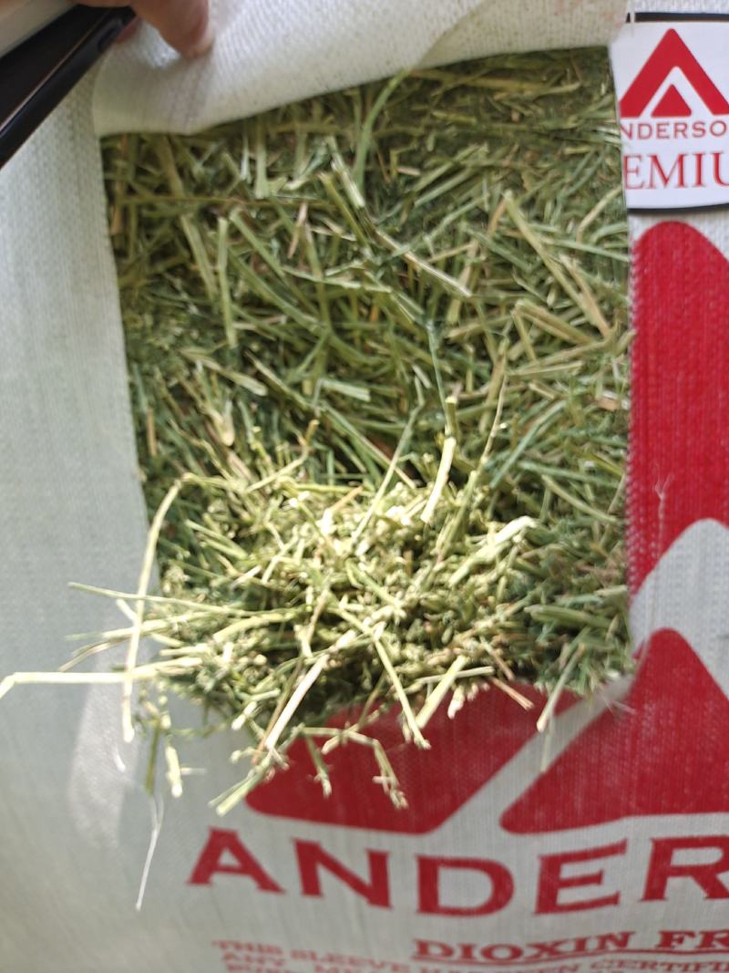 苜蓿草大捆进口苜蓿草安德森进口苜蓿草需要的联系