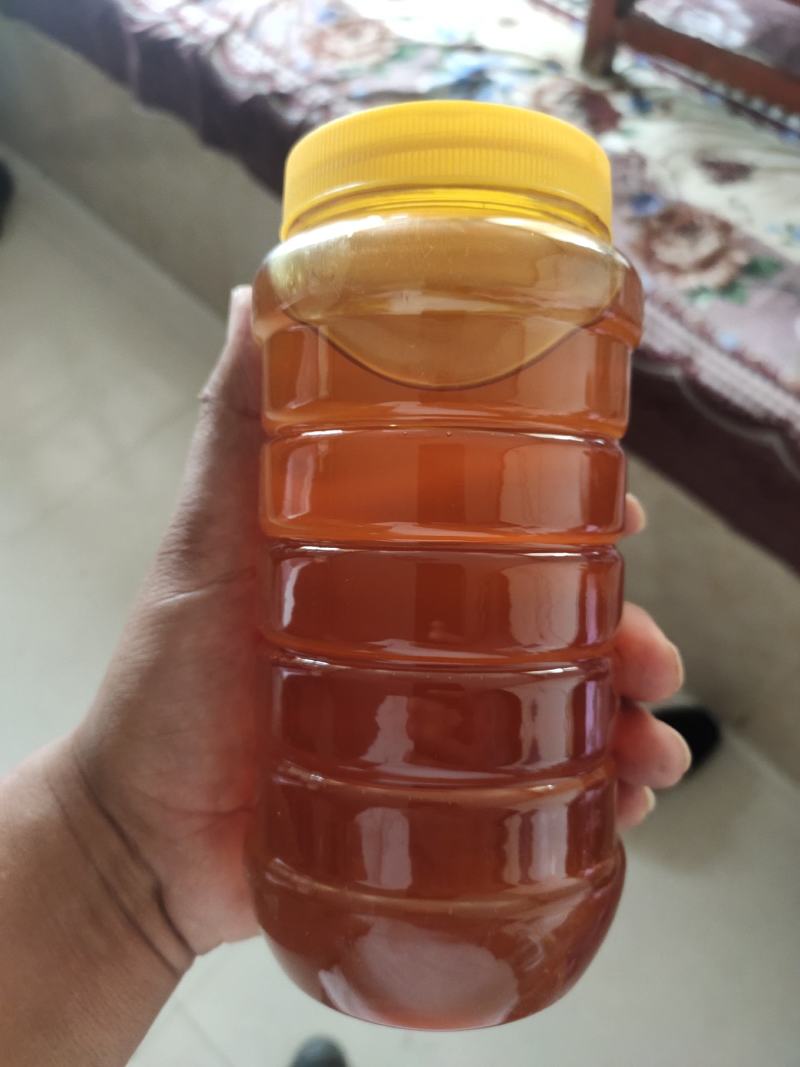 蜂蜜生产基地甘肃玉门胜陇源蜂蜜批发蜂蜜基地甘肃沙枣