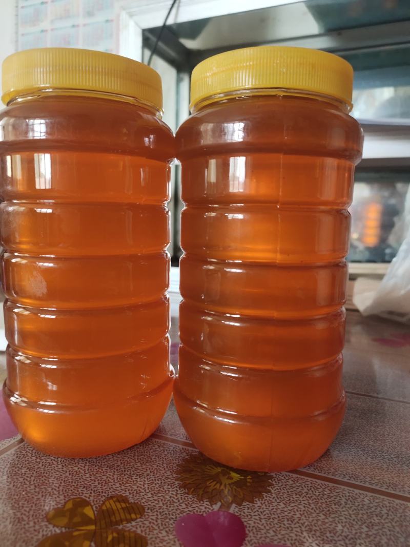 蜂蜜生产基地甘肃玉门胜陇源蜂蜜批发蜂蜜基地甘肃沙枣