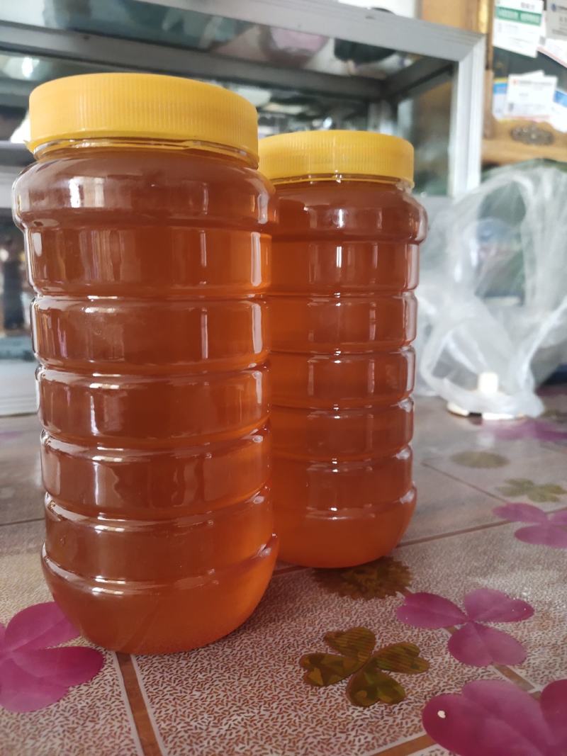 蜂蜜生产基地甘肃玉门胜陇源蜂蜜批发蜂蜜基地甘肃沙枣
