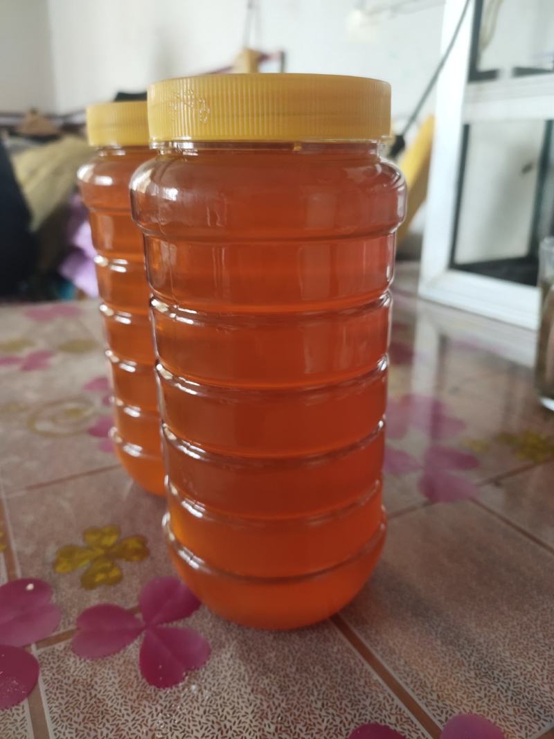 蜂蜜生产基地甘肃玉门胜陇源蜂蜜批发蜂蜜基地甘肃沙枣