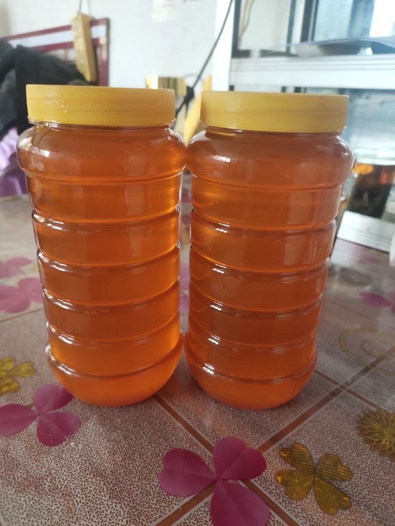 蜂蜜生产基地甘肃玉门胜陇源蜂蜜批发蜂蜜基地甘肃沙枣