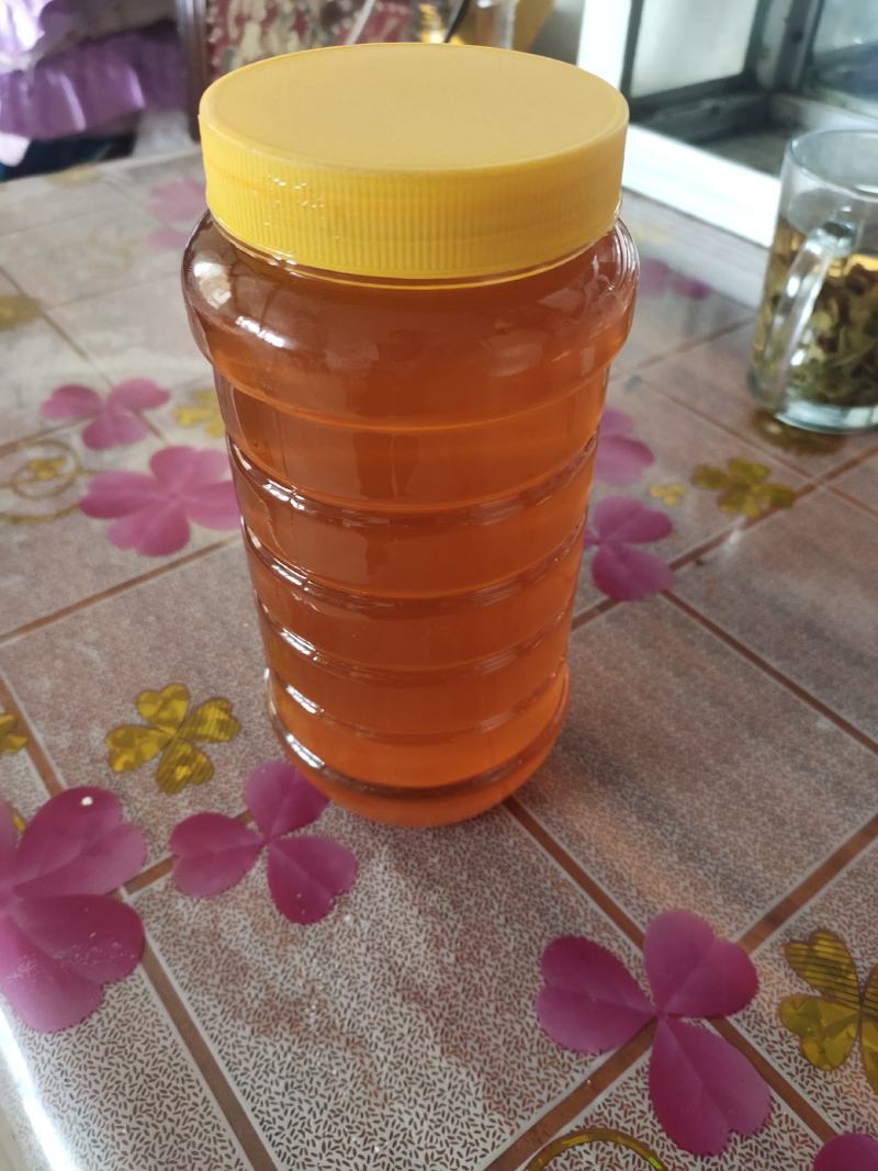 蜂蜜生产基地甘肃玉门胜陇源蜂蜜批发蜂蜜基地甘肃沙枣