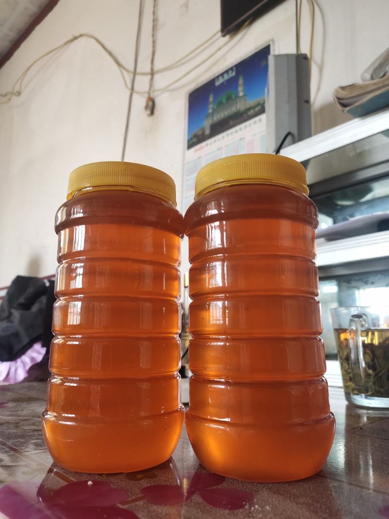 蜂蜜生产基地甘肃玉门胜陇源蜂蜜批发蜂蜜基地甘肃沙枣