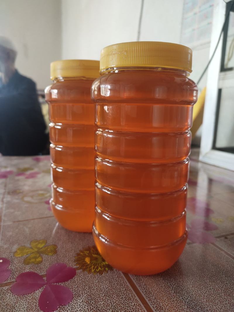 蜂蜜生产基地甘肃玉门胜陇源蜂蜜批发蜂蜜基地甘肃沙枣