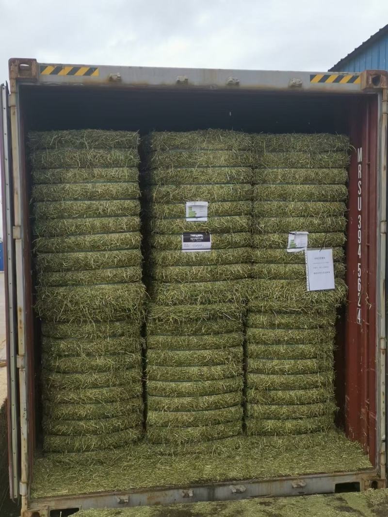 进口苜蓿草美国进口苜蓿草美国ACX安德森大G