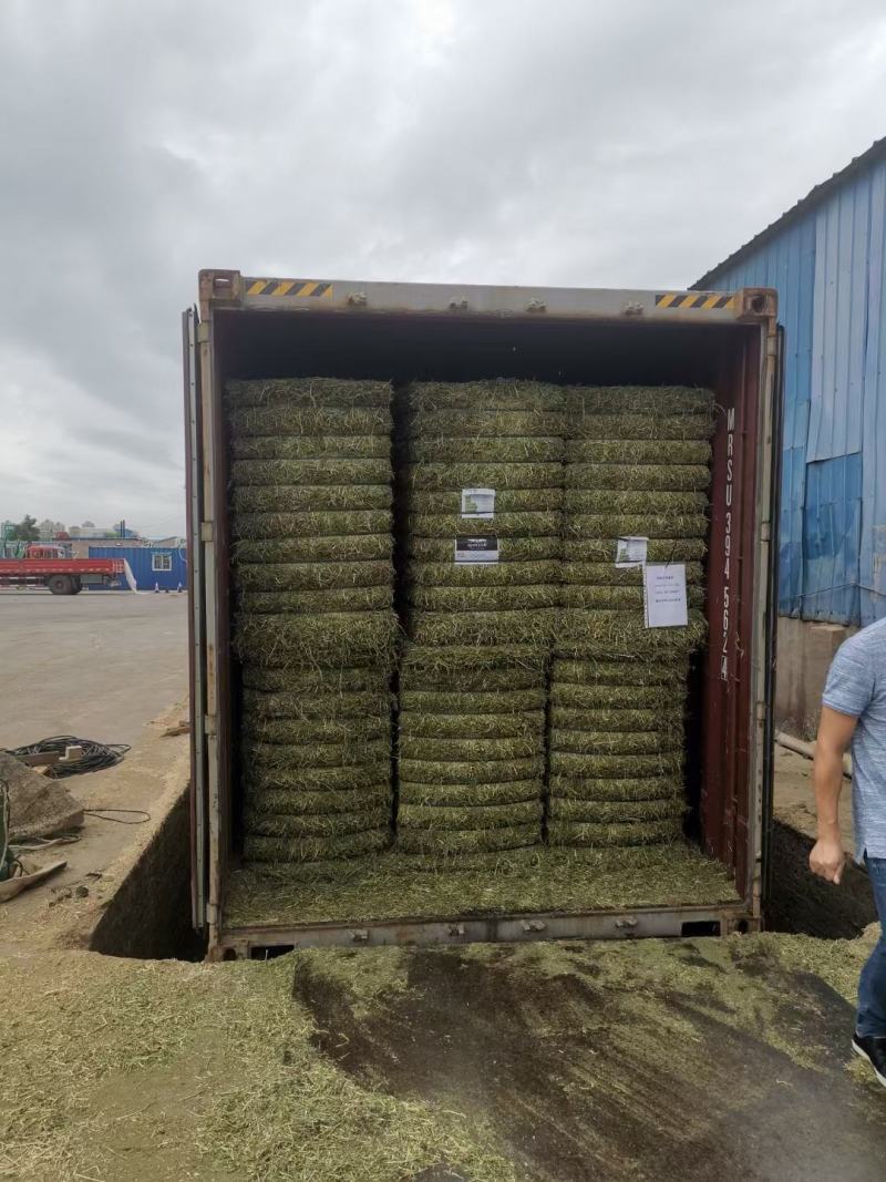 进口苜蓿草美国进口苜蓿草美国ACX安德森大G