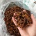 八角广西大红八角干水烫秋果大料茴香春花干枝批发包邮
