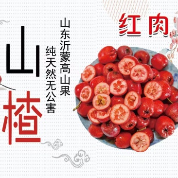 早熟红肉大金星山楂