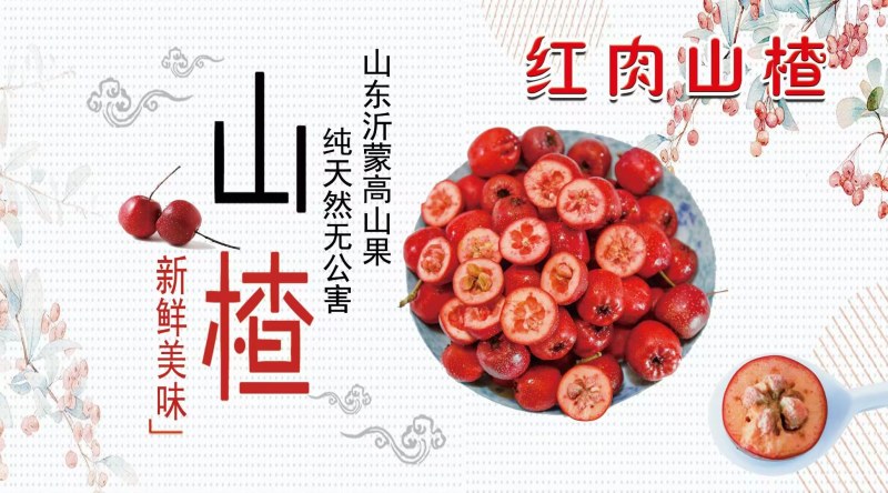 早熟红肉大金星山楂