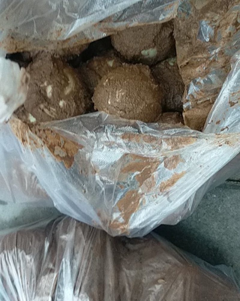 新鲜鸭蛋、咸鸭蛋