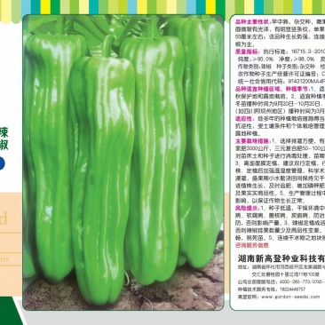 薄壳大椒种子蜜本南瓜仔