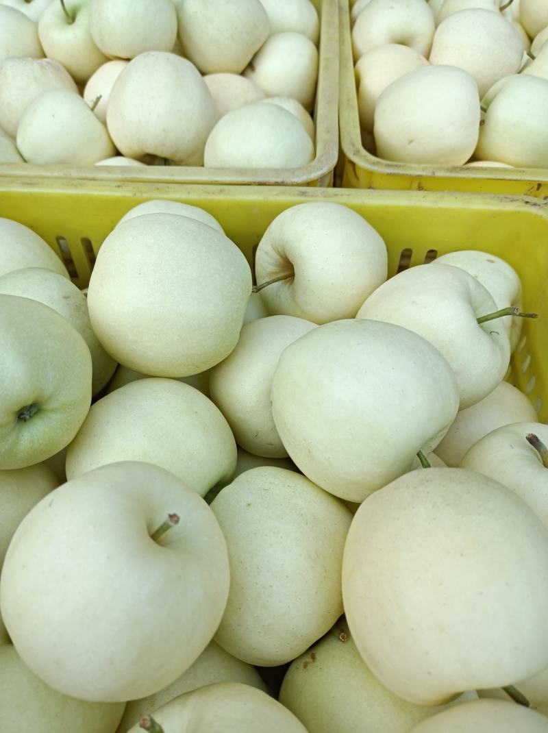 礼县黄元帅中秋送礼佳品