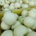 礼县黄元帅中秋送礼佳品