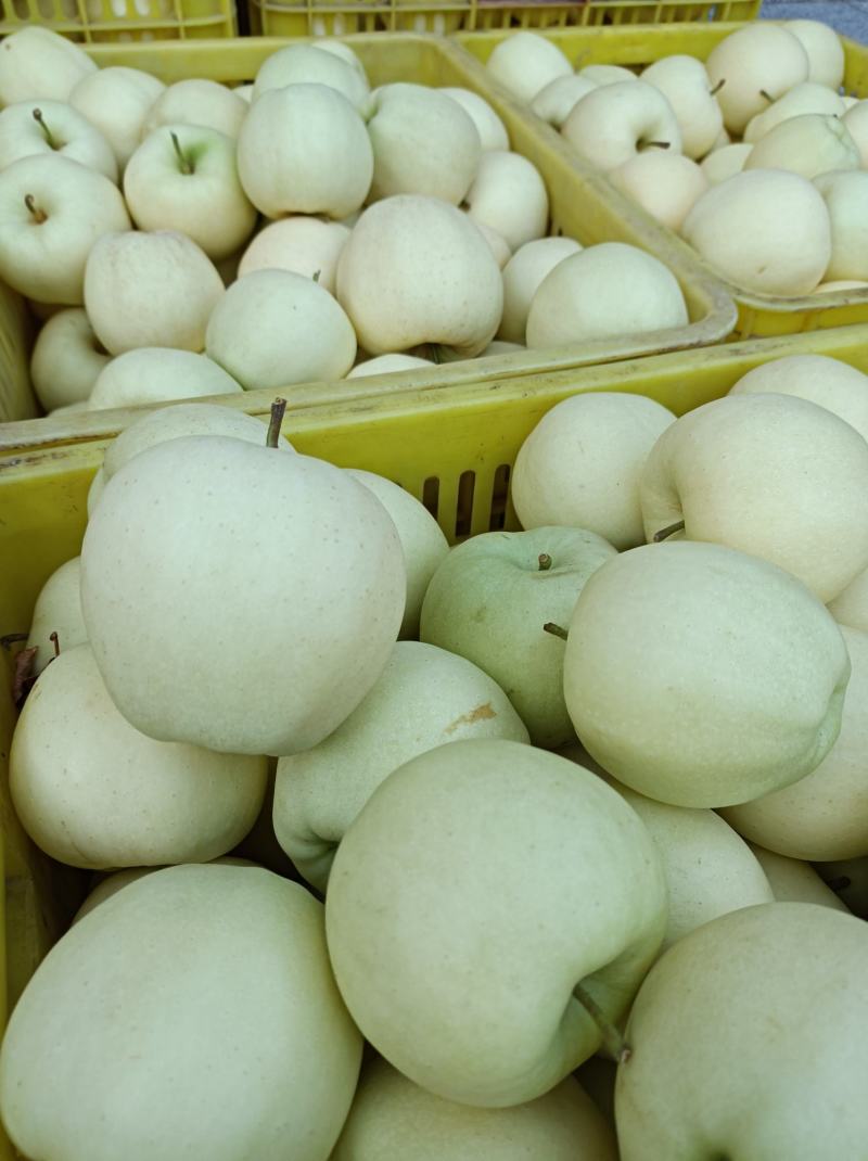 礼县黄元帅中秋送礼佳品