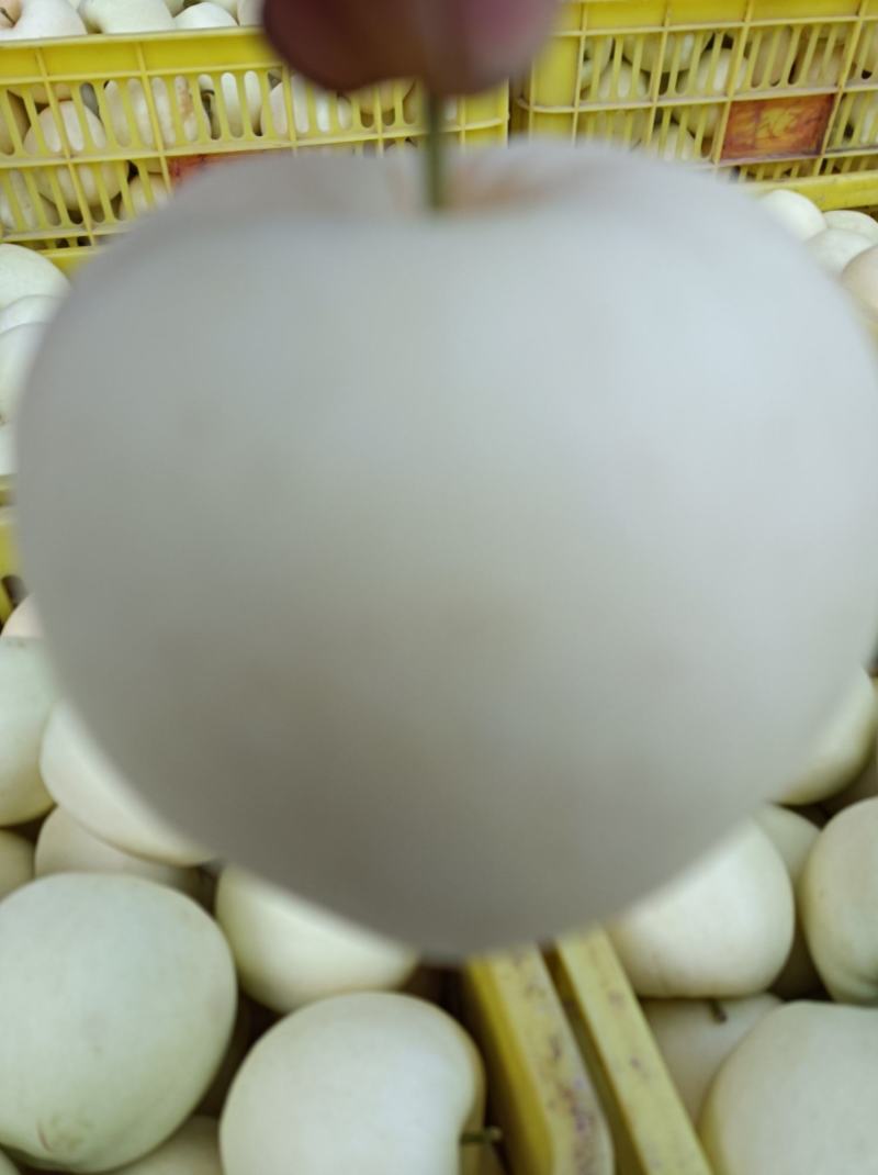 礼县黄元帅中秋送礼佳品