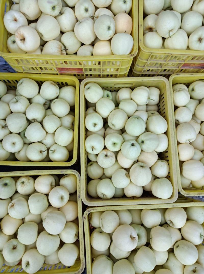 礼县黄元帅中秋送礼佳品