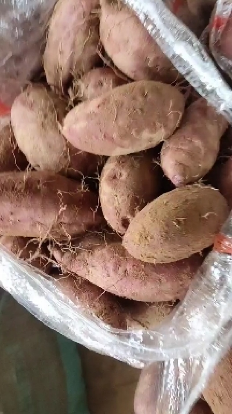 紫薯，红薯，丘陵沙土地，口感特别香甜糯，无丝，含有丰富的