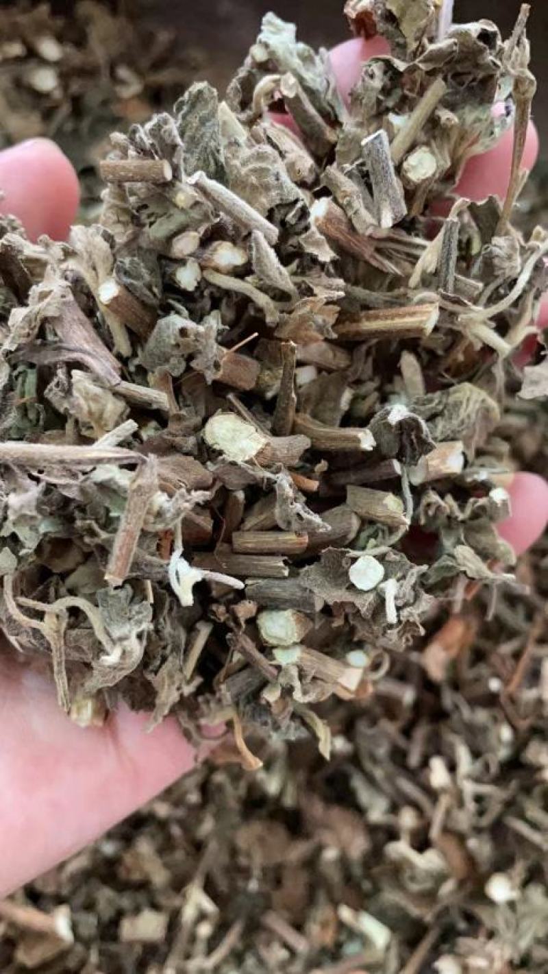 广藿香(包邮)4斤起批发，量大从优，欢迎大家选购