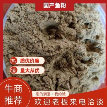 毓辉高价位优质鱼粉鳀鱼鱼干烘干粉碎喂蛋鸡鸭猪家禽使用添加