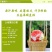 云南蒙自石榴软籽石榴老树石榴自家种植现摘现发新鲜到家量大