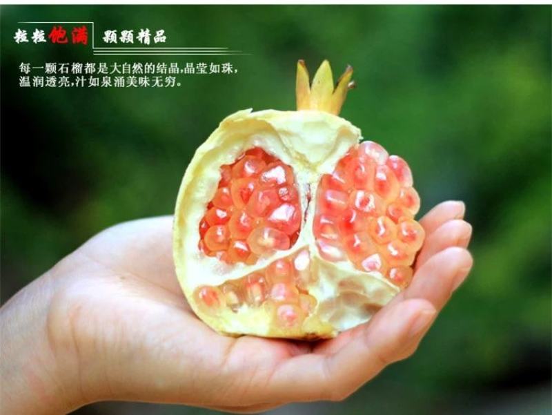 云南蒙自石榴软籽石榴老树石榴自家种植现摘现发新鲜到家量大