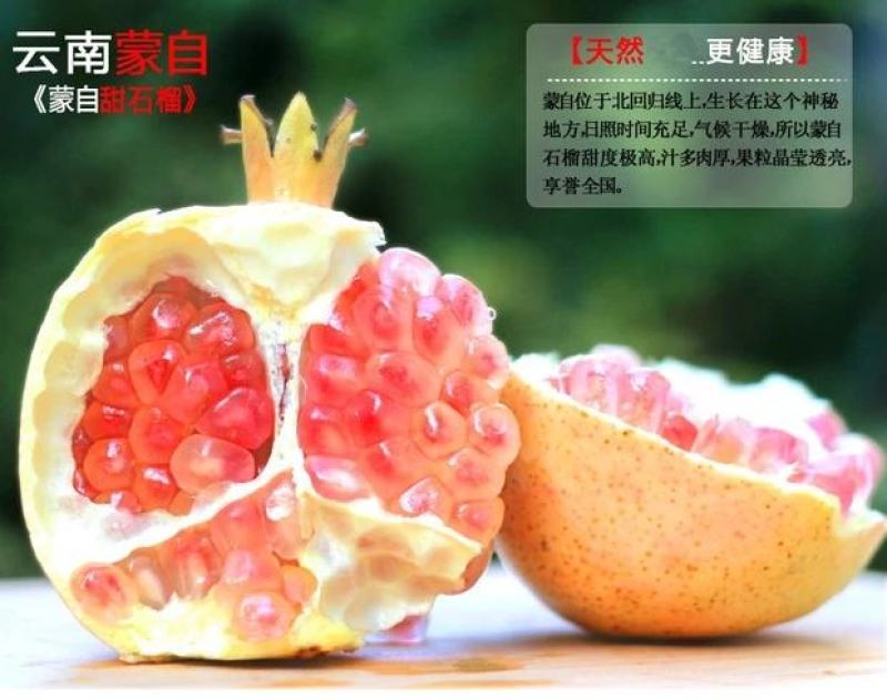 云南蒙自石榴软籽石榴老树石榴自家种植现摘现发新鲜到家量大
