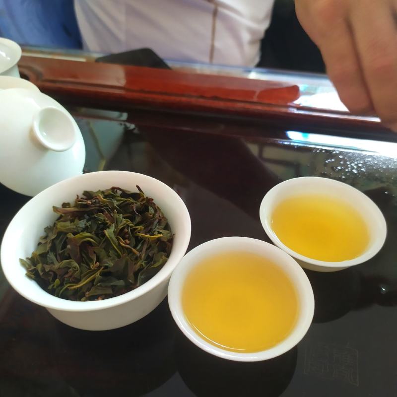 高山茶潮汕乌龙茶惠来八仙茶大坪土山茶1斤奇兰香茶心醇香茶