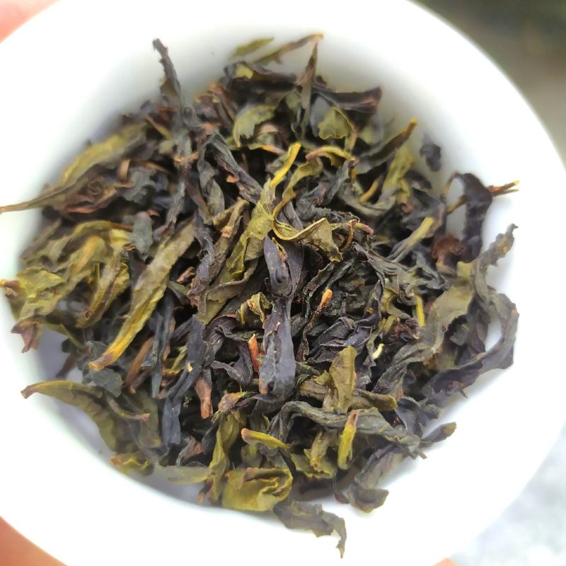 高山茶潮汕乌龙茶惠来八仙茶大坪土山茶1斤奇兰香茶心醇香茶