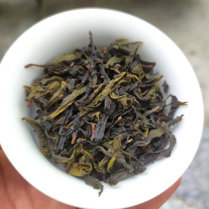 高山茶潮汕乌龙茶惠来八仙茶大坪土山茶1斤奇兰香茶心醇香茶