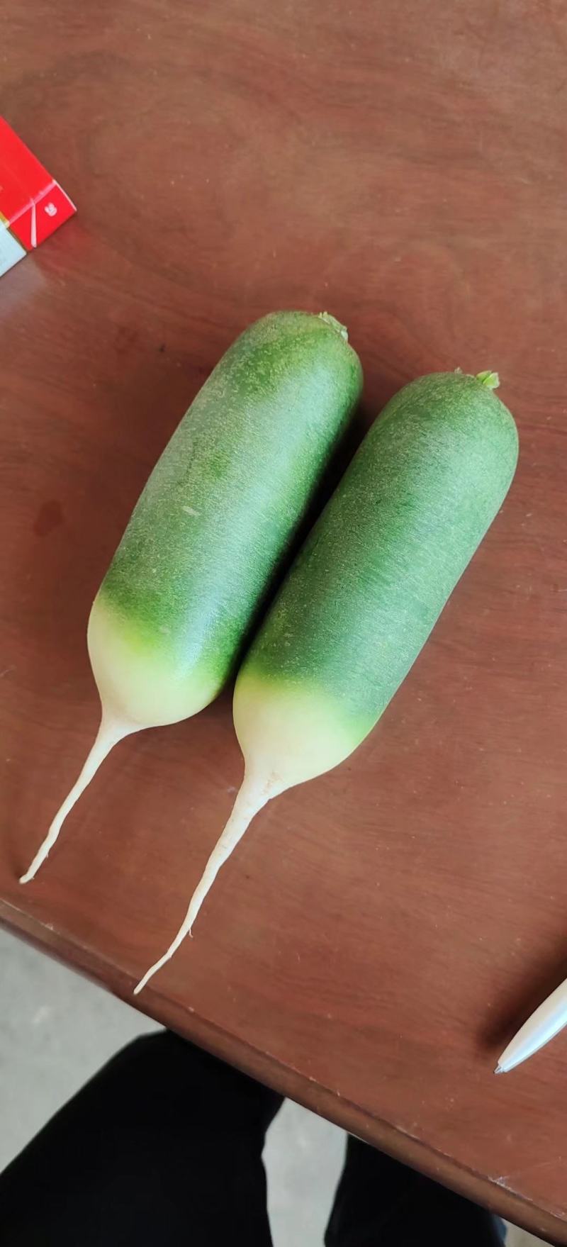 夏阳白菜，抗热王白菜，山东肥城大量走货供应中
