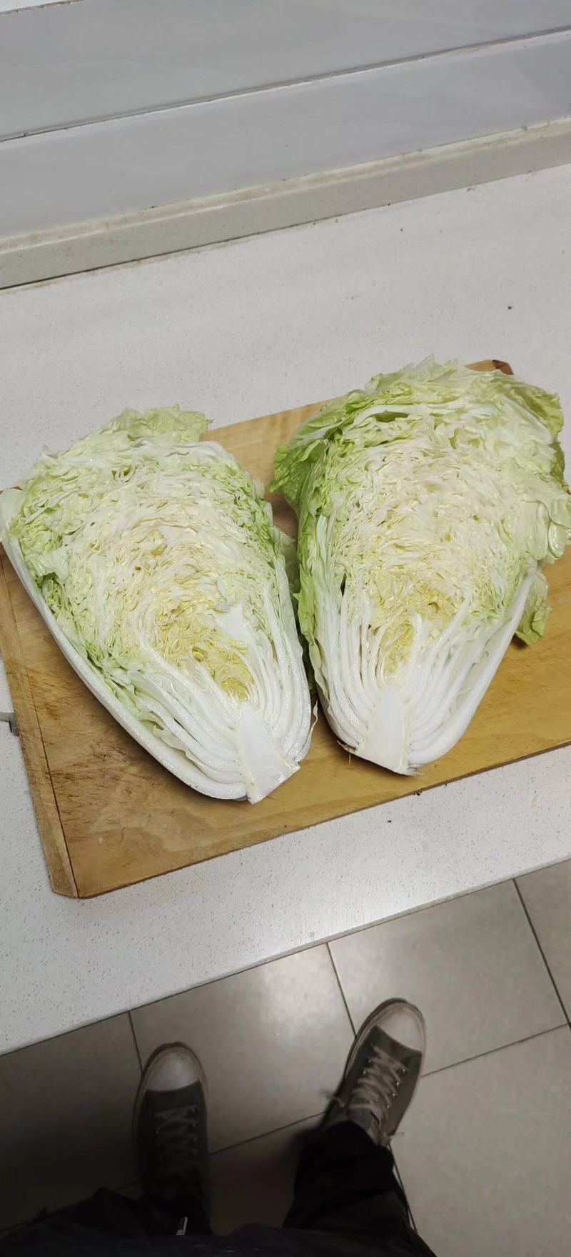 夏阳白菜，抗热王白菜，山东肥城大量走货供应中
