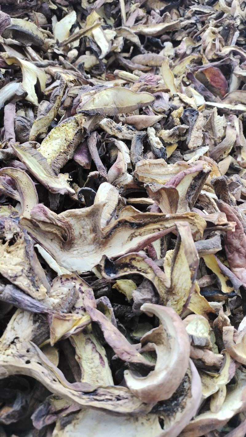 中端黄牛肝菌干货，红葱菌，白葱菌，原产地批发，一首货源！
