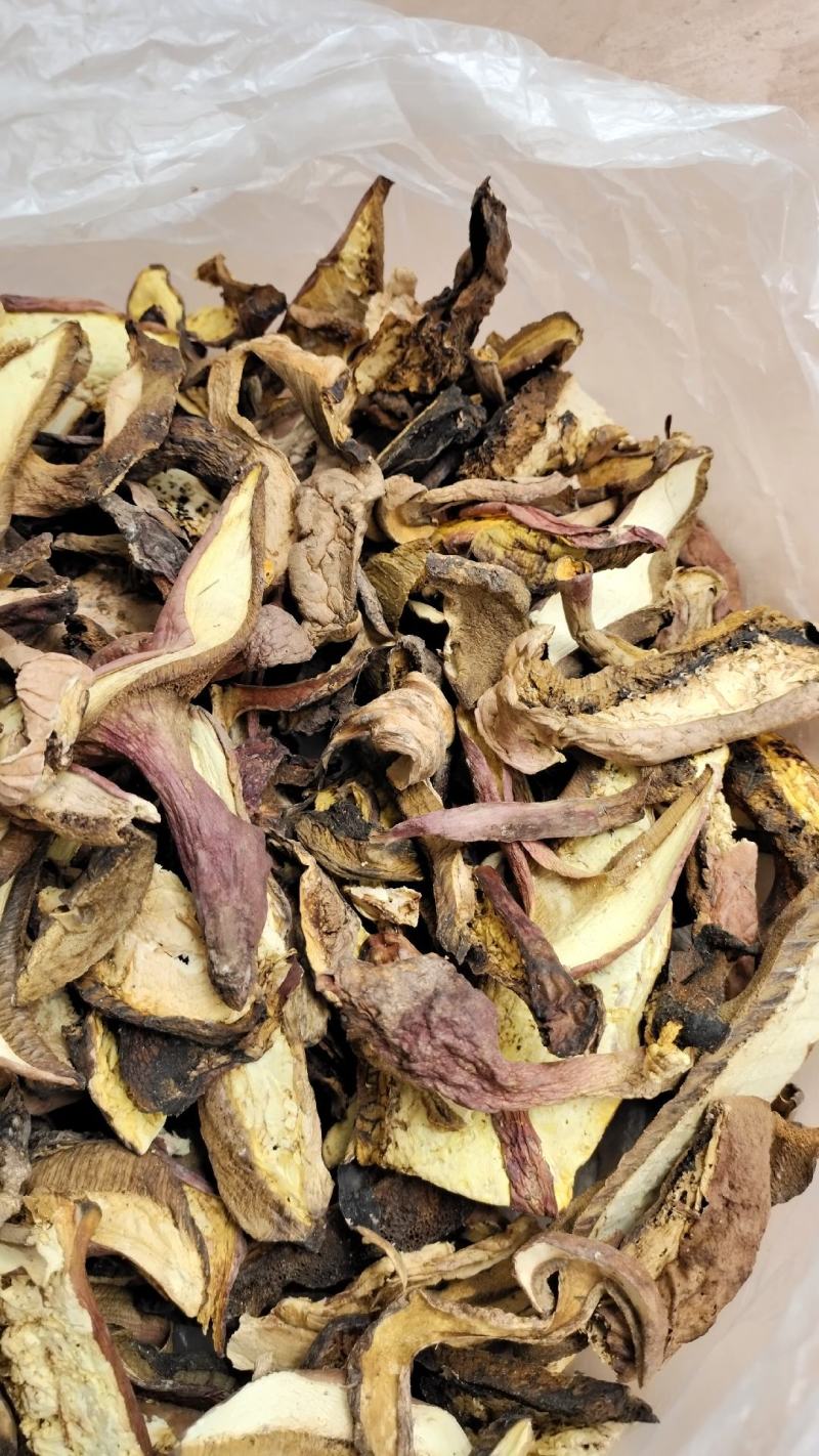 中端黄牛肝菌干货，红葱菌，白葱菌，原产地批发，一首货源！