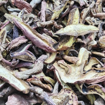 中端黄牛肝菌干货，红葱菌，白葱菌，原产地批发，一首货源！