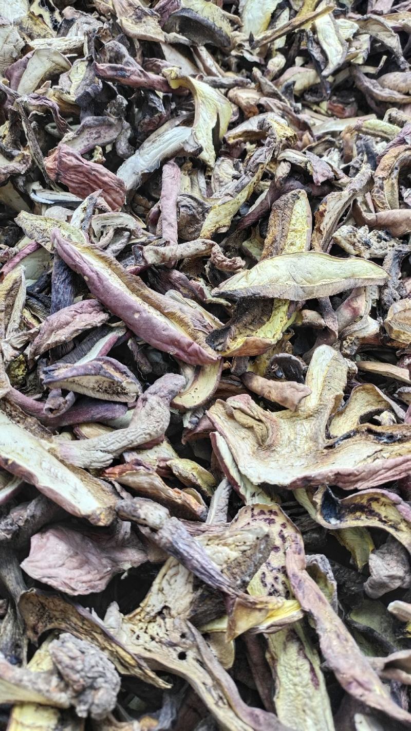 中端黄牛肝菌干货，红葱菌，白葱菌，原产地批发，一首货源！