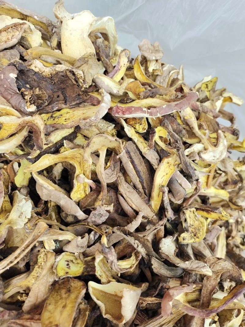 中端黄牛肝菌干货，红葱菌，白葱菌，原产地批发，一首货源！