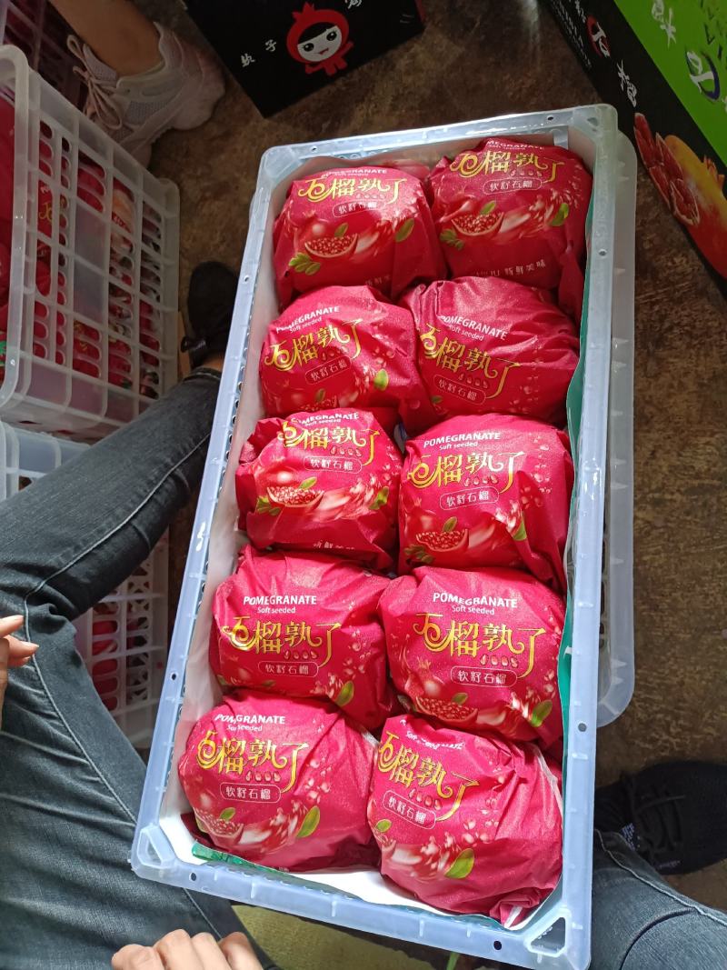 突尼斯软籽石榴