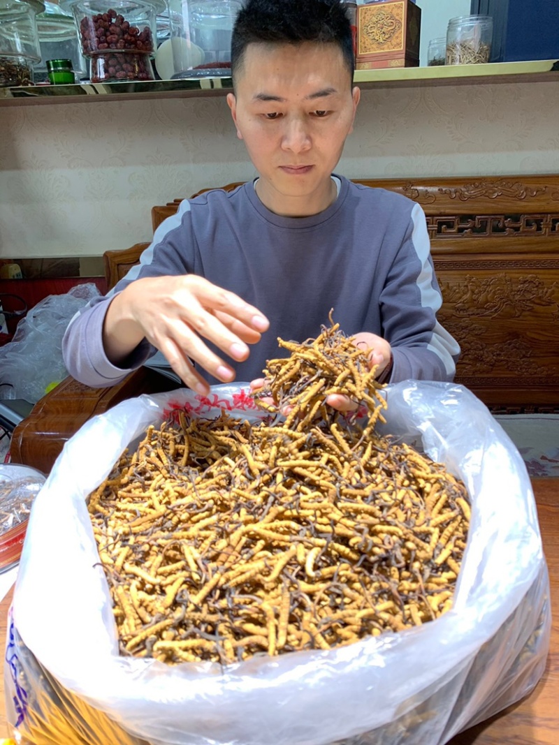 虫草冬虫夏草微商电商实体专业一件代发