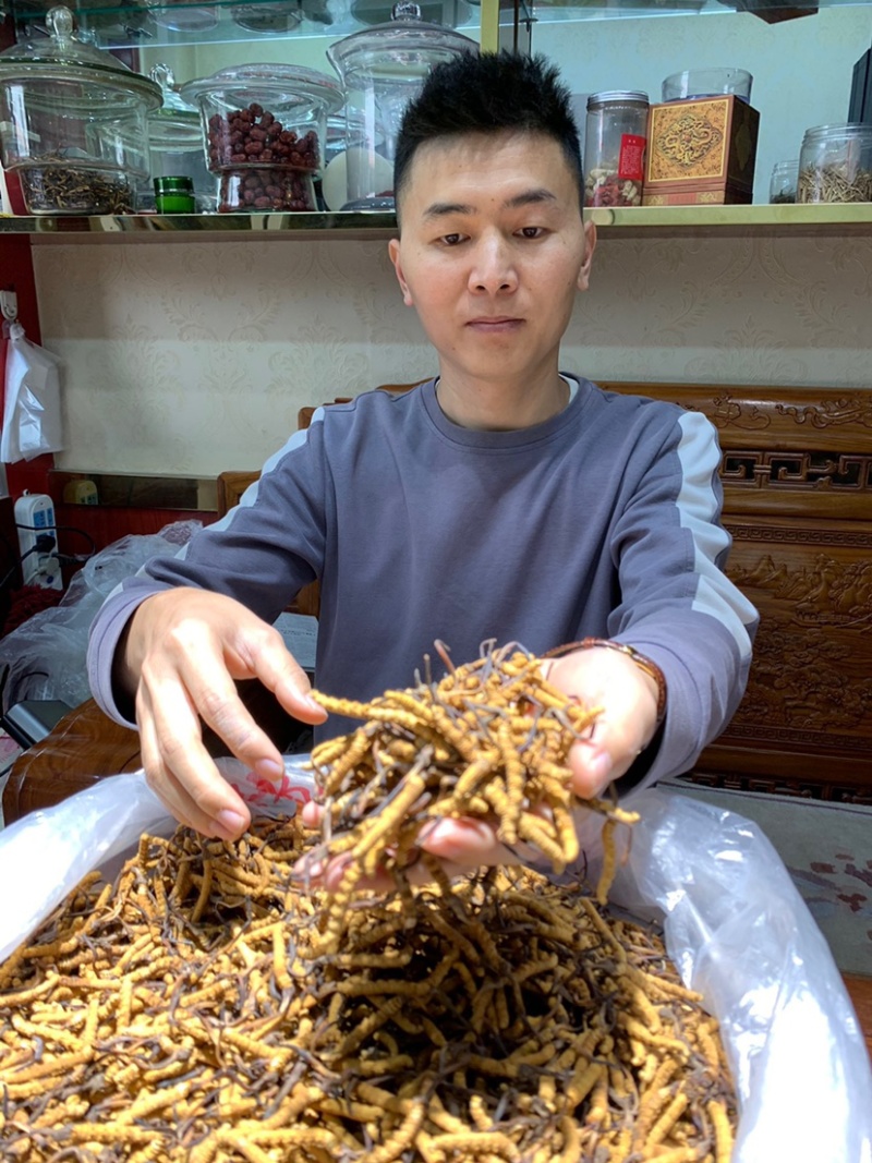 虫草冬虫夏草微商电商实体专业一件代发