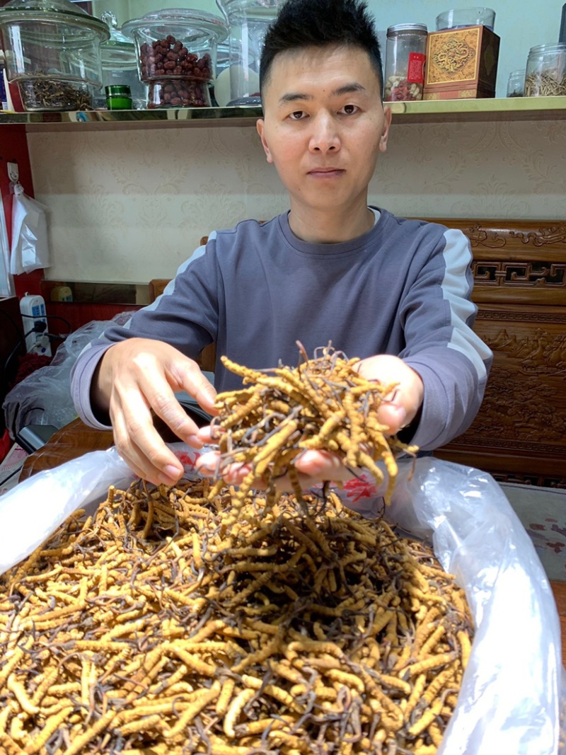 虫草冬虫夏草微商电商实体专业一件代发