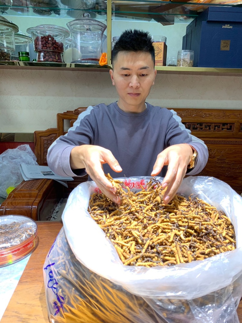 虫草冬虫夏草微商电商实体专业一件代发