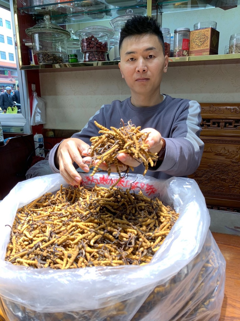 虫草冬虫夏草微商电商实体专业一件代发
