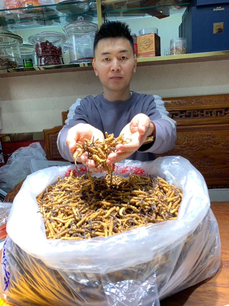 虫草冬虫夏草微商电商实体专业一件代发