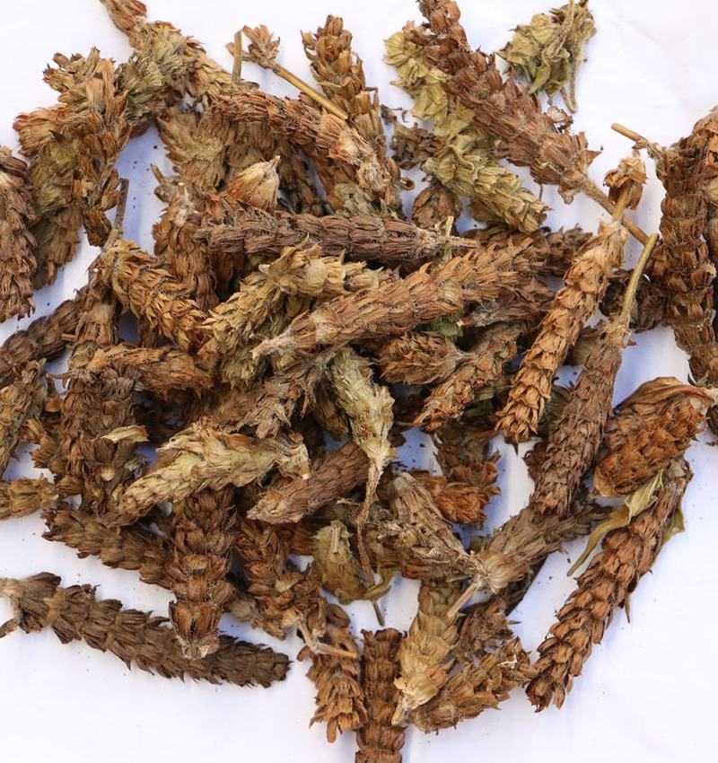 夏枯球，人工挑选穗头，颜色靓丽，产地直发，欢迎批发零售！