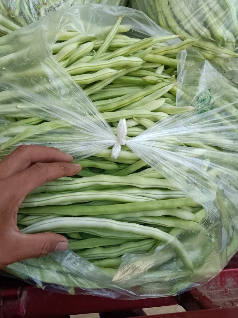精品豆角