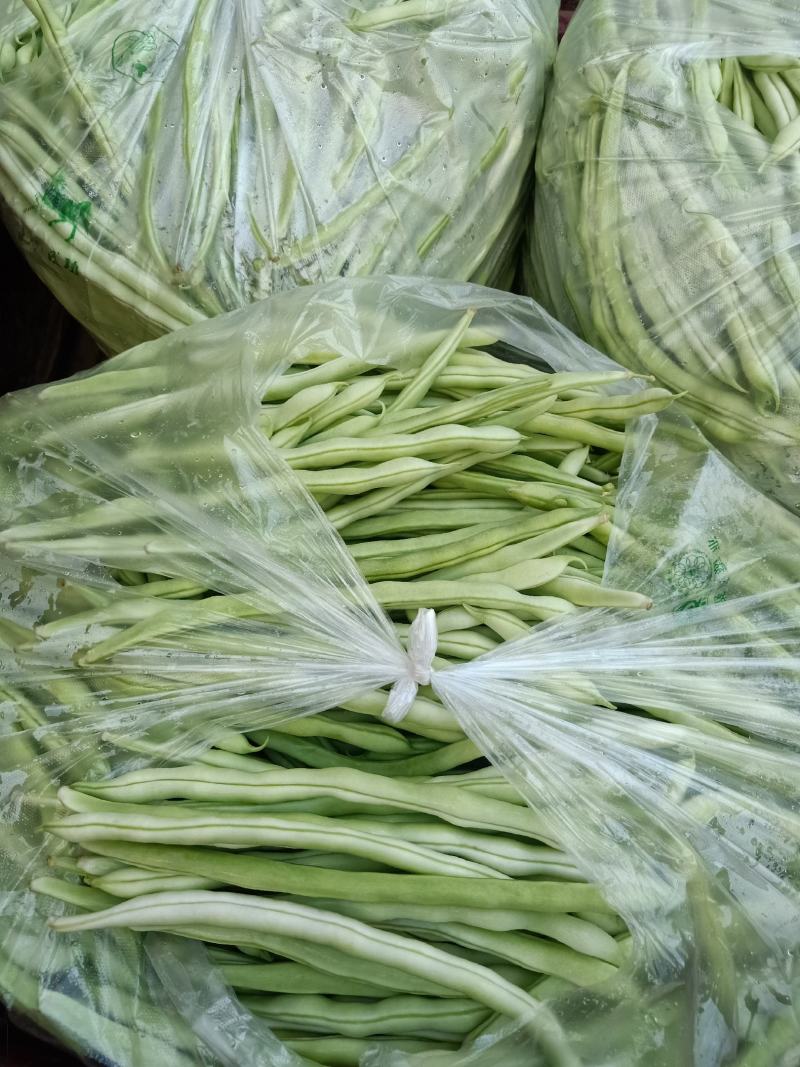精品豆角