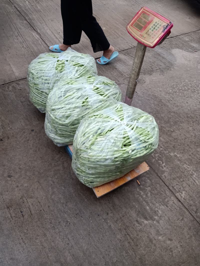 精品豆角